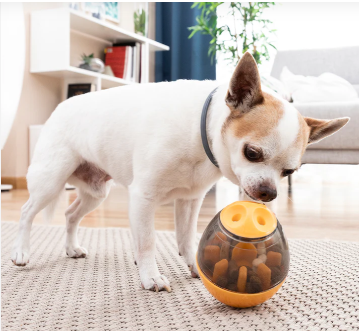 Juguete Dispensador de Premios para Mascotas